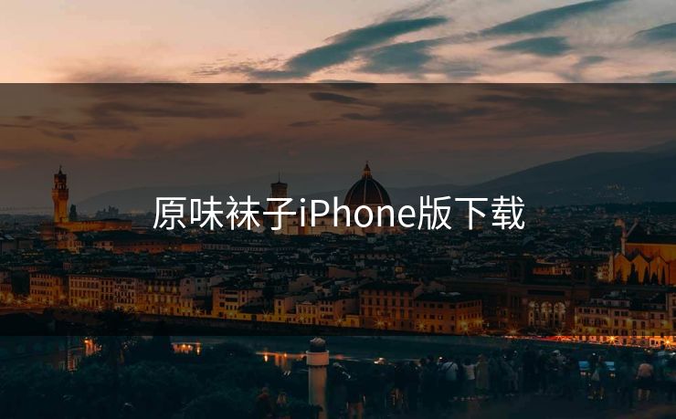 原味袜子iPhone版下载