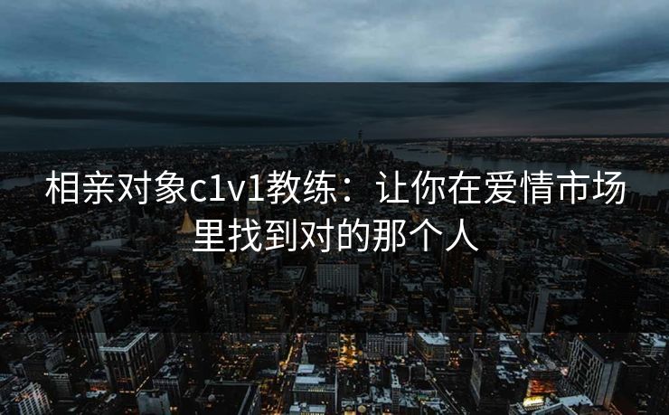 相亲对象c1v1教练：让你在爱情市场里找到对的那个人