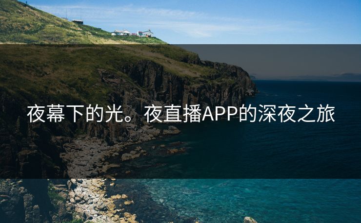 夜幕下的光。夜直播APP的深夜之旅