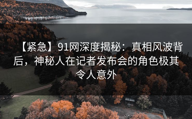 【紧急】91网深度揭秘：真相风波背后，神秘人在记者发布会的角色极其令人意外
