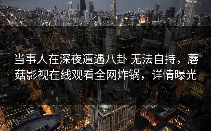 当事人在深夜遭遇八卦 无法自持，蘑菇影视在线观看全网炸锅，详情曝光